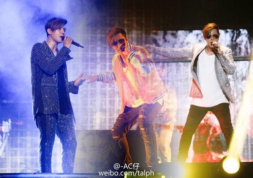 吃瓜猪娱乐演唱会,狂欢之夜，星光熠熠